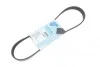 Ремінь генератора Citroen Berlingo/Peugeot Partner 1.6HDI/ Ford Fiesta/ Focus 1.4-1.6 TDCi 01- BLUE PRINT AD06R805 (фото 1)