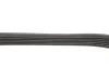 6PK870 PEUGEOT Partner, Expert, 206/306 98- BLUE PRINT AD06R870 (фото 2)