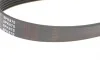 6PK870 PEUGEOT Partner, Expert, 206/306 98- BLUE PRINT AD06R870 (фото 3)