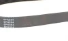 Ремень генератора Fiat Scudo 1.6/ Renault Kangoo 1.9D 97-/ VW Golf/ Passat 1.6-2.0 90-02 (6PK894) BLUE PRINT AD06R894 (фото 3)