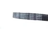 Ремень генератора Citroen Berlingo/VW Golf III 1.4-2.0i 91-/ Ford Fiesta/ Focus 1.4-1.6 TDCi 03- BLUE PRINT AD06R975 (фото 2)