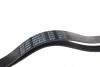 Ремінь генератора Renault Megane/ Grand Scenic 1.9dCi/1.6-2.0 02-/ Nissan Juke 1.6 10- (7PK1127) BLUE PRINT AD07R1127 (фото 2)