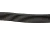 Ремень генератора Toyota Camry 3.5 V6 11-17/ Lexus GS/ IS/ ES 2.5-3.5 05- BLUE PRINT AD07R1550 (фото 2)