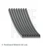 Ремінь поліклиновий 8PK1355 BLUE PRINT AD08R1355 (фото 1)