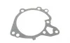 К-т помпи системи охолодження BLUE PRINT ADC49130 (фото 7)