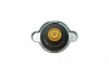Крышка радиатора Renault Koleos 08-/Toyota Corolla/Mazda 323/Mitsubishi Lancer 84- (0.9bar) BLUE PRINT ADC49902 (фото 4)