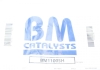 Сажевый фильтр BM CATALYSTS BM11005H (фото 11)