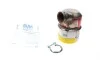 Фильтр сажевый Citroen Berlingo/Peugeot Partner 1.6HDi 09- (Euro 5) BM CATALYSTS BM11188HP (фото 1)