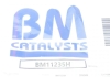 Садовый фильтр BM CATALYSTS BM11235H (фото 1)