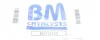 Фильтр сажевый Citroen C4 Picasso 09-13/DS5 11-15/Peugeot 5008 2.0HDi 09-17 (Euro 5) BM CATALYSTS BM11235H (фото 2)