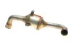 Катализатор выхлопной системы Citroen Jumpy/Peugeot Expert 2.0HDi 07-16 BM CATALYSTS BM80462H (фото 12)