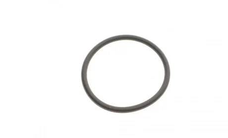 Кільце ущільнююче 3 (E90/E92/E93)/5 (F10/F11//F07)/X5 (E70)/X6 (E71) 05-13 N57 BMW 11127823949