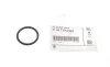 Прокладка кришки горловини маслозаливної 5 (E60/F10)/7 (E65-E67/F01-F04) 04-15 N43/N46/N52/N53 BMW 11517514942 (фото 2)