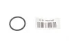 Прокладка фланца охлаждающей жидкости 5 (F10) 09-24 N20/N26 BMW 11537603660 (фото 2)
