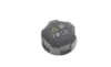 Крышка бачка расширительного X5 (E70/F15/F85)/X6 (E71/E72/F16/F86) 06- BMW 17135A1BD89 (фото 1)
