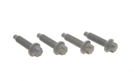Болт кронштейна подушки двигуна 3 (E90)/5 (E60) 03-11 M57/N47/N52/N57 (к-кт) BMW 22110392551