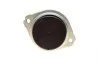 Подушка двигуна Audi Q7/VW Touareg 3.0D-4.2 02-10 BOGAP A1911106 (фото 6)