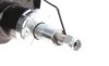 Амортизатор (передний) Audi TT/Skoda Octavia/VW Golf/Tiguan/Touran 06- BOGAP A3410106 (фото 6)