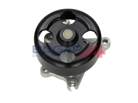 Водяний насос BOGAP N4234102