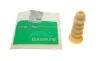 Отбойник амортизатора (заднего) Audi A3/Skoda Octavia/Rapid/Roomster/VW Bora/Golf 96-13 (OE VAG) Borsehung B10010 (фото 1)