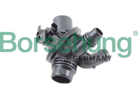 Термостат, охолоджувальна рідина Borsehung B10561