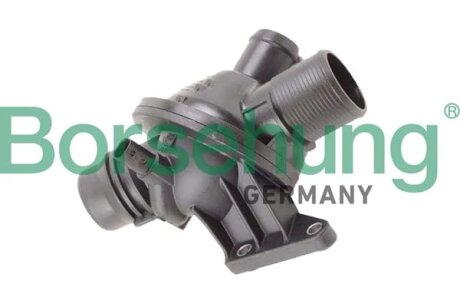 Термостат, охолоджувальна рідина Borsehung B10562