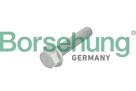 Центрувальний болт Borsehung B10633