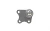 Опора кульова (передня/знизу/R) Skoda Fabia/VW Polo 1.2/1.9TDI 99-10 Borsehung B11337 (фото 3)