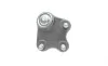 Опора шаровая (передняя/снизу/R) VW Polo/Skoda Fabia 1.0-2.0 99- Borsehung B11339 (фото 2)