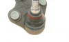 Опора кульова (передня/знизу/L) VW Polo/Skoda Fabia 1.0-2.0 99- Borsehung B11340 (фото 3)