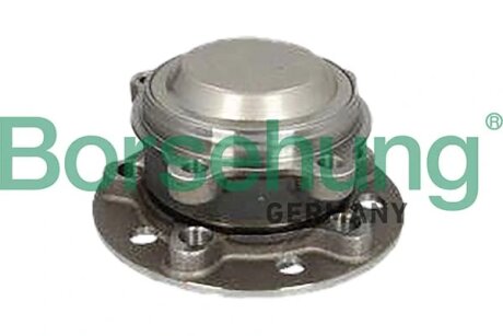 Комплект колісних підшипників Borsehung B11714
