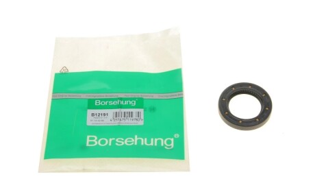 Сальник Borsehung B12191