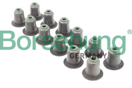Сальник клапанів випуск 12 шт Borsehung B12507