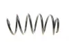 Пружина (передня) VW Caddy 04-/Passat 05-14 (OE VAG) Borsehung B12623 (фото 4)