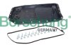 Піддон картеру Borsehung B12753 (фото 1)