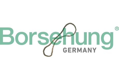 Ланцюг ГРМ Borsehung B12769