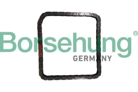 Ланцюг ГРМ Borsehung B12785