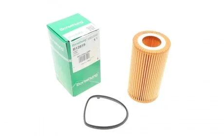 Фильтр масляный Audi A3/A4/A6/Q3/VW Golf V/VI/Passat 2.0 FSI 04-15 Borsehung B12815