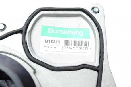 Насос системи охолодження (OE) Borsehung B15313 (фото 1)
