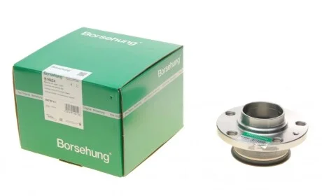 Подшипник ступицы (задней) Skoda Rapid/Roomster 07- (OE VAG) Borsehung B15624