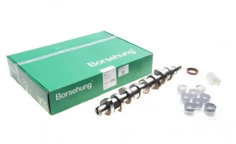 Розподільний вал VW 1.9TDI 03- (к-кт) (OE VAG) Borsehung B18664