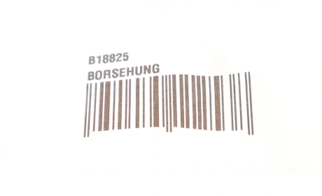 Гидрокомпенсатор Borsehung B18825 (фото 1)