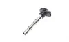 Катушка зажигания Audi A3/A4/A5/A6/Q3/Q5/Skoda Octavia II/SuperB II/VW Golf/Passat/T5/T6 04-(OE VAG) Borsehung B18972 (фото 5)