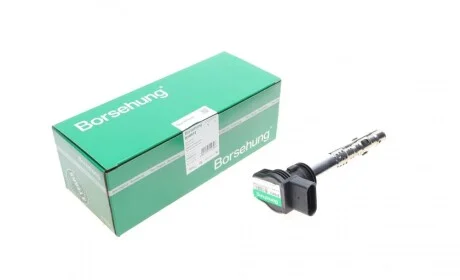 Катушка зажигания Audi A3/A4/A5/A6/Q3/Q5/Skoda Octavia II/SuperB II/VW Golf/Passat/T5/T6 04-(OE VAG) Borsehung B18972