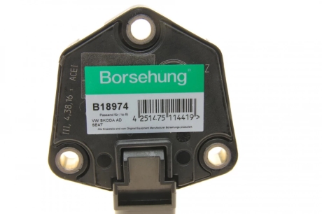 Датчик рівна оливи Borsehung B18974 (фото 1)