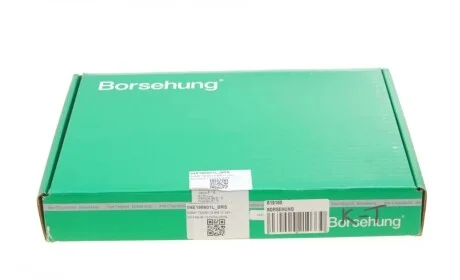 Клапан (впуск/выпуск) VW Caddy IV/Golf VI/Touran 1.2TSI 15- (12 к-кт) (OE VAG) Borsehung B19160