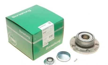Подшипник ступицы (задней) Skoda Octavia 97-10/VW Bora/Golf IV 98-05 (к-кт) (OE VAG) Borsehung B19231