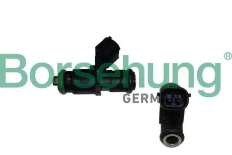 Форсунка Borsehung B19238