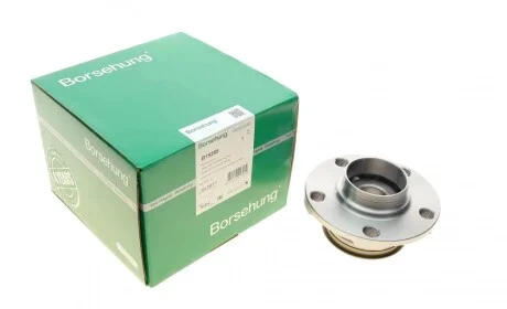 Подшипник ступицы (задней) VW Polo VI/Seat Ibiza 17- (OE VAG) Borsehung B19285