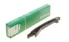 Планка успокоителя цепи ГРМ Mini 1.6 01-06 Borsehung B1G038 (фото 1)